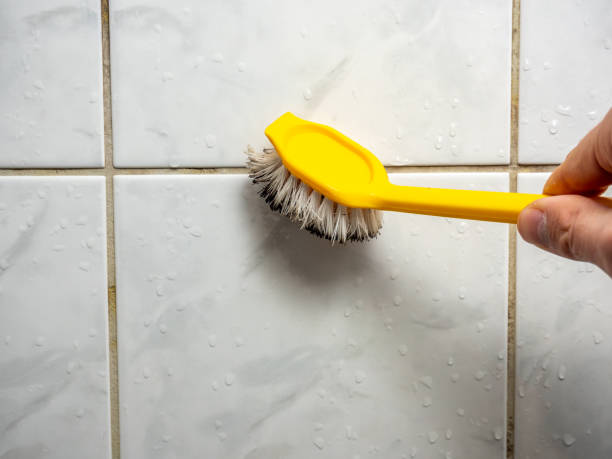 Best Black Mold Removal  in Willowick, OH
