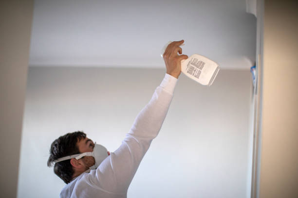 Certified Mold Removal in Willowick, OH